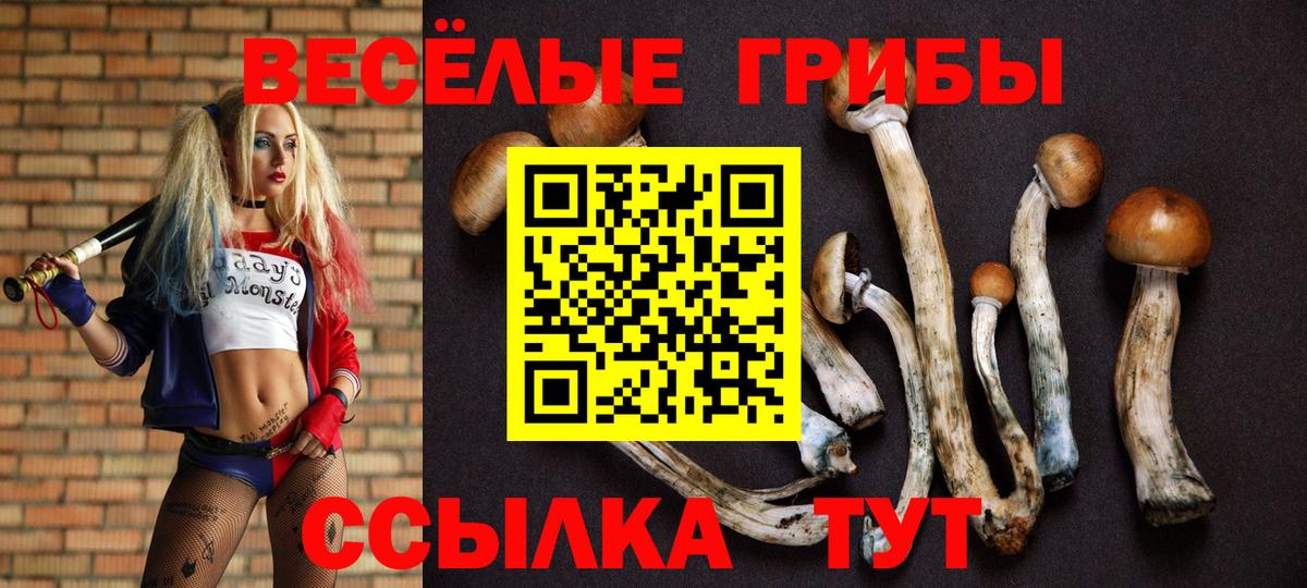 Чита  Галлюциногенные грибы Psilocybe  Галлюциногенные грибы Psilocybe  Вход с VPN 